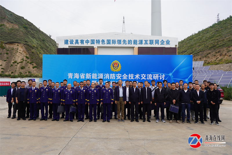 青海在线网